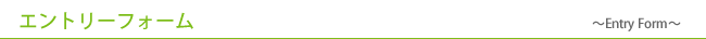 エントリーフォーム　-Entry&nbsp;Form-
